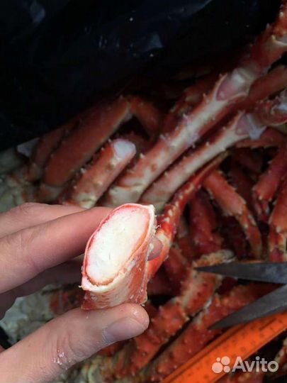 Краб камчатский