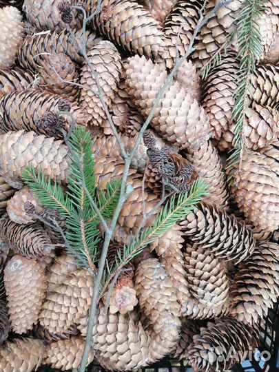 Набор для творчества из природных материалов