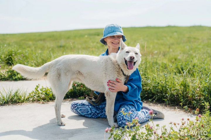 В поисках дома