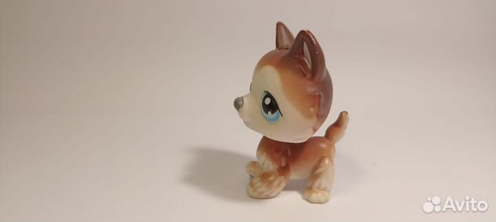 Littlest pet shop