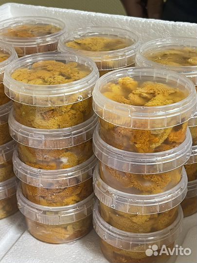 Икра Морского Ежа 0.50гр.Акустическая заморозка