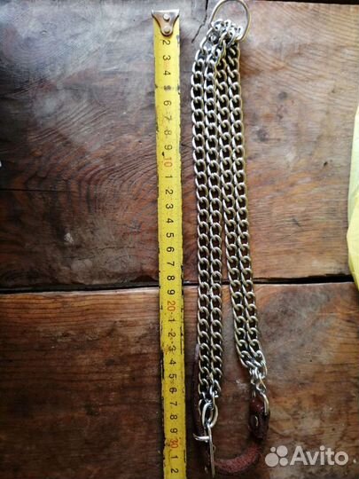 Амуниция для собак