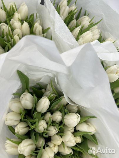 Тюльпаны к 8 марта оптом