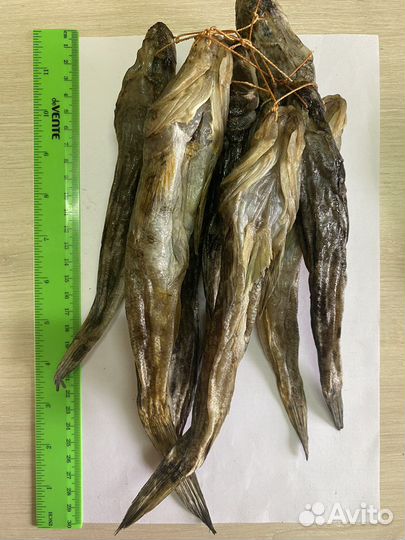 Бычок вяленый азовский, калкан вяленый азовский