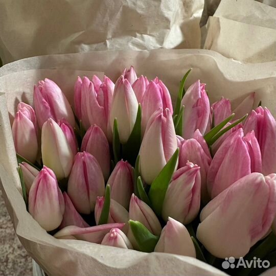 Тюльпаны к 8 марта