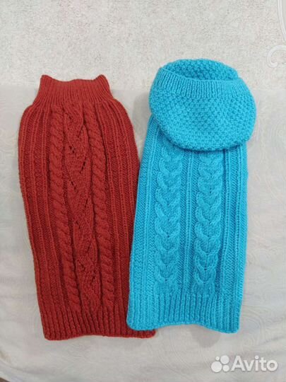 Одежда для животных