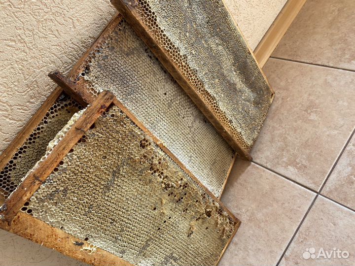 Мед в сотах, Башкирский