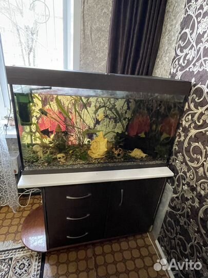 Тумба под аквариум бу