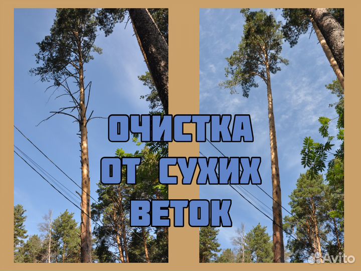 Спилить дерево, валка частями