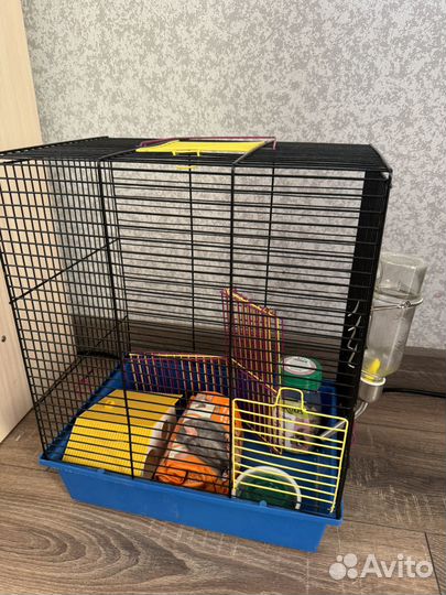 Клетка для грызунов бу