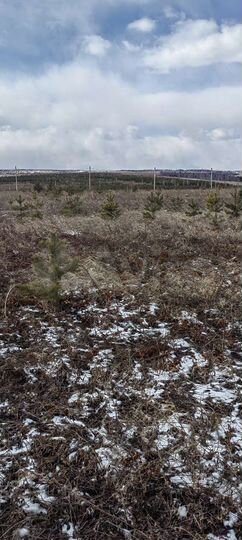 Участок 9 сот. (ИЖС)