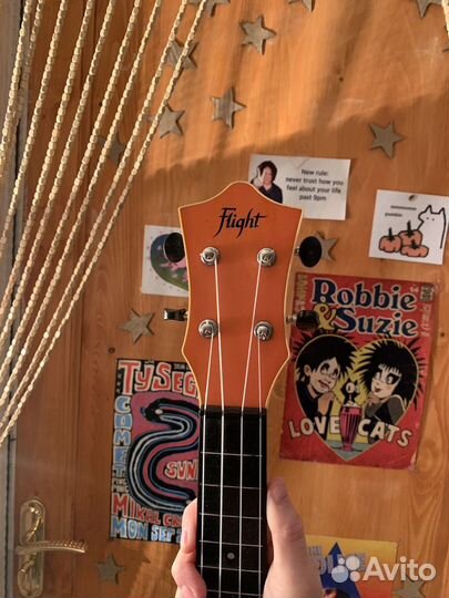 Укулеле flight