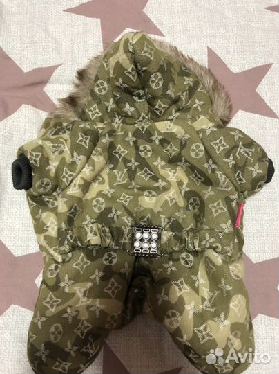 Костюмчик для собачки