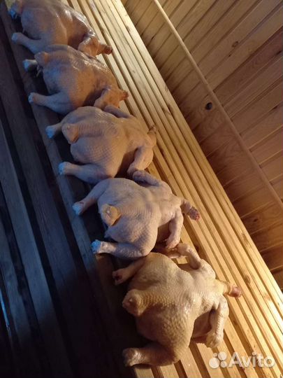 Мясо бройлера