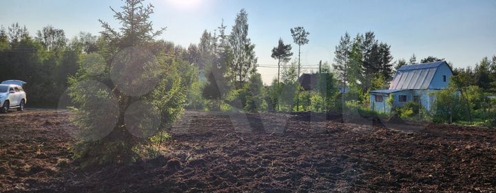 Участок 16 сот. (СНТ, ДНП)