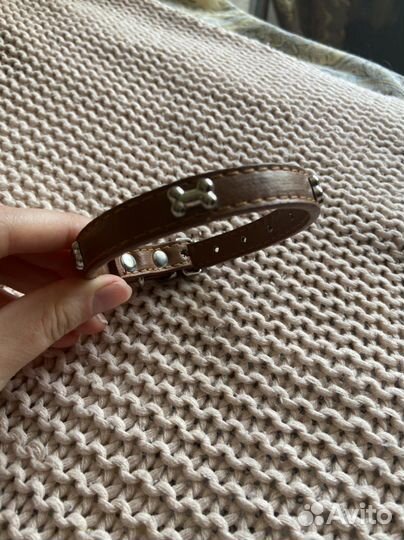 Ошейник для маленькой собаки