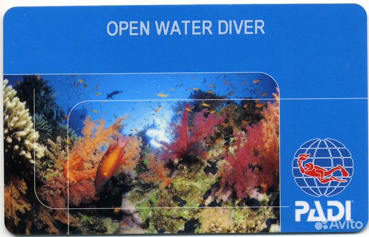 Дайвинг обучение,выдача международного сертификата