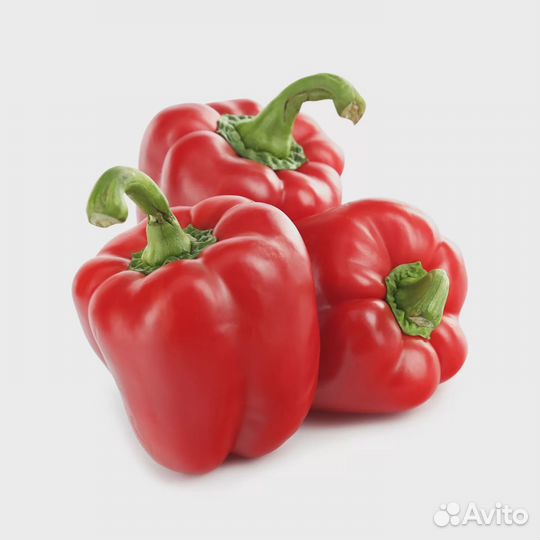 Семена сладкого перца