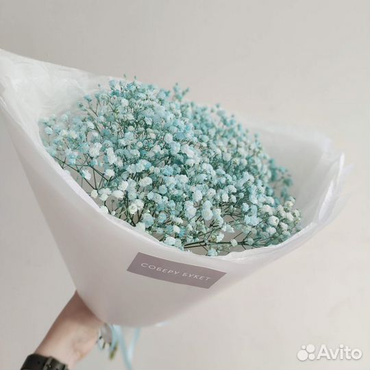 Гипсофила Бирюзовая