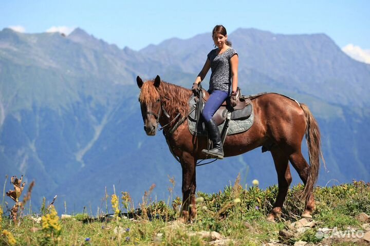 Конные прогулки в Красной Поляне и Сочи