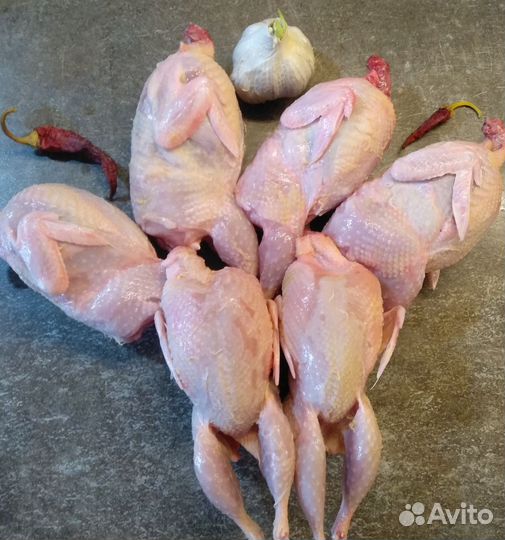 Мясо перепелов