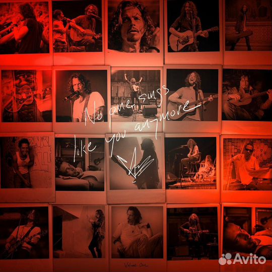 Виниловая пластинка Chris Cornell - No One Sings L