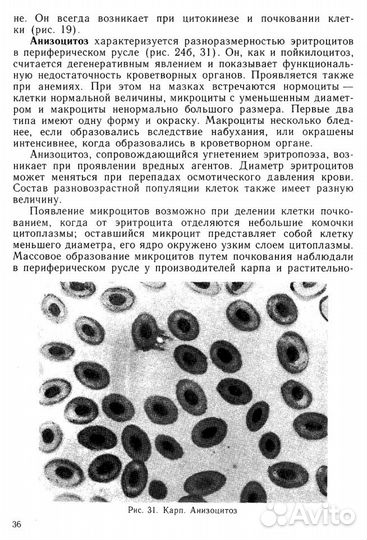 Атлас нормальных и патологически измененных клеток