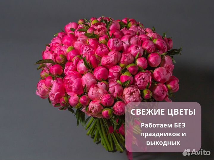 101 пион букеты