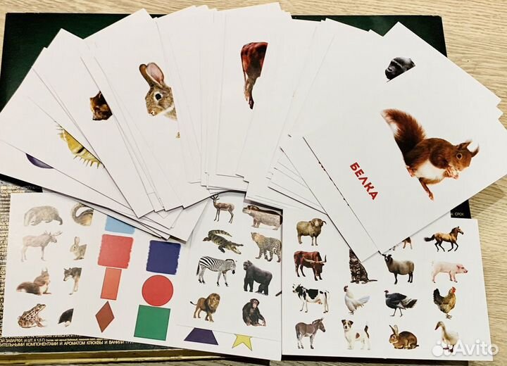 Обучающие карточки по методике Домана, новый набор