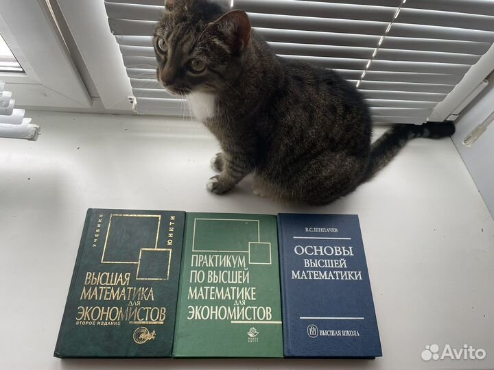 Книги по высшей математике