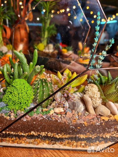 Флорариум сердце