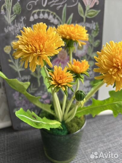 Одуванчики.Подарок Ручная работа