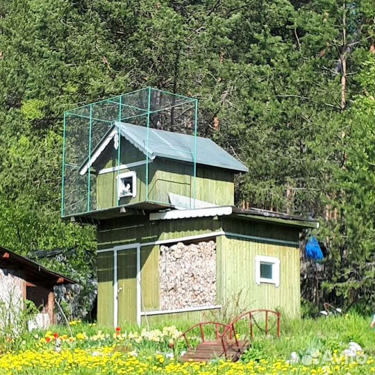 Двух дневное путешествие по Заонежью (Кижи)