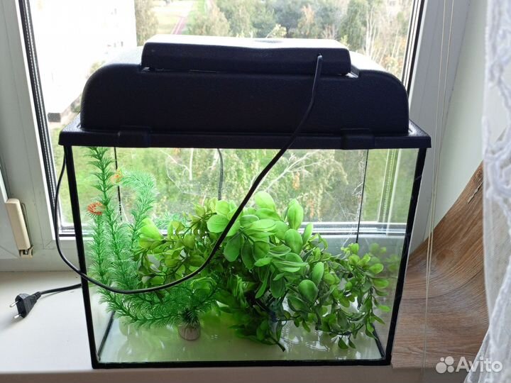 Аквариум