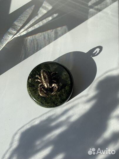 Скорпион на камне