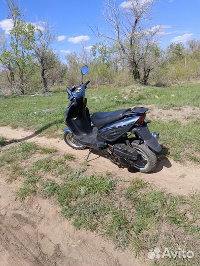 Рейсер лупус 125