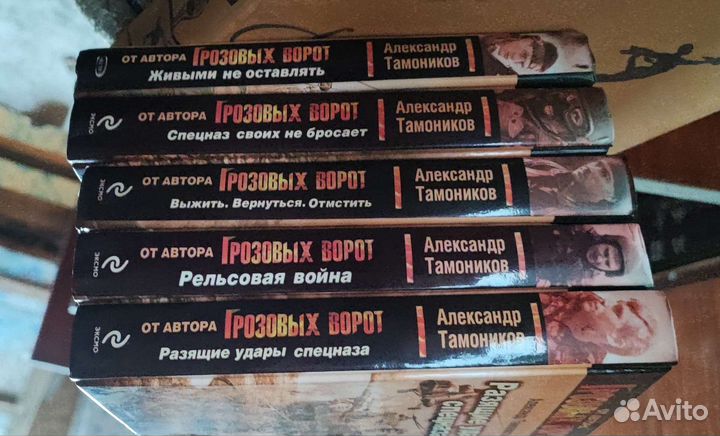 Грозовые ворота. Серия Спецназ