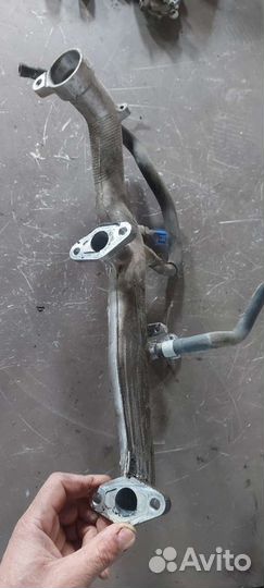 Трубка охлаждения Nissan Skyline v35