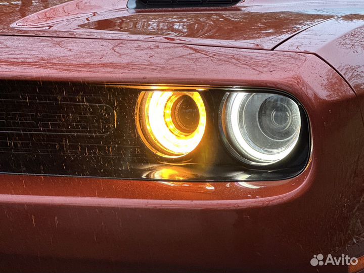 Аренда musclecar Dodge challenger