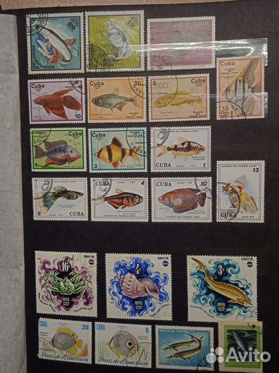 116 марок. Флора и фауна. На выбор или обмен