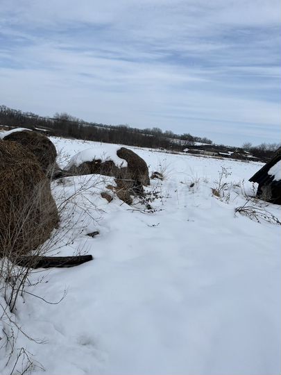 Дом 36 м² на участке 30 сот.