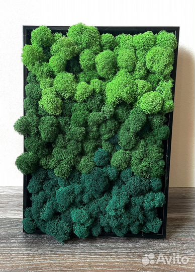 Панно из стабилизированного мха
