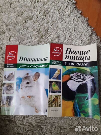 Шиншилла Певчие птицы