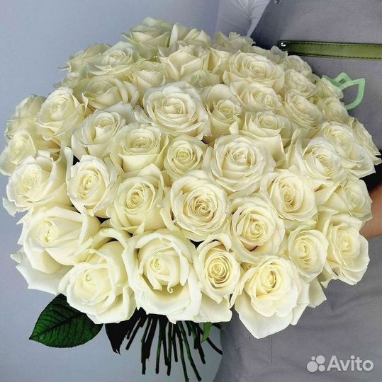 Высокие Розы Гиганты Доставка Круглосуточно