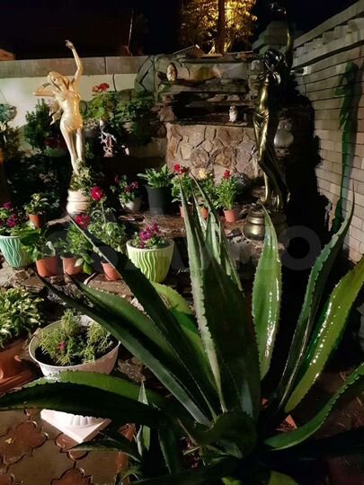 Комната 16 м², 1/3 эт.