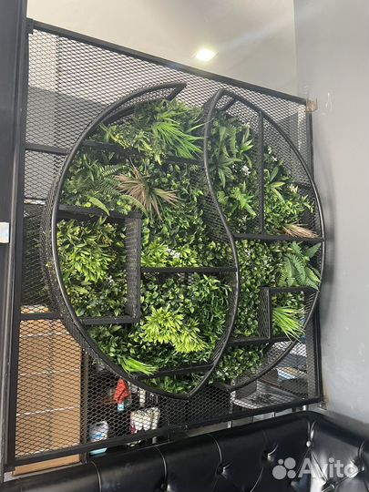 Фитокартина