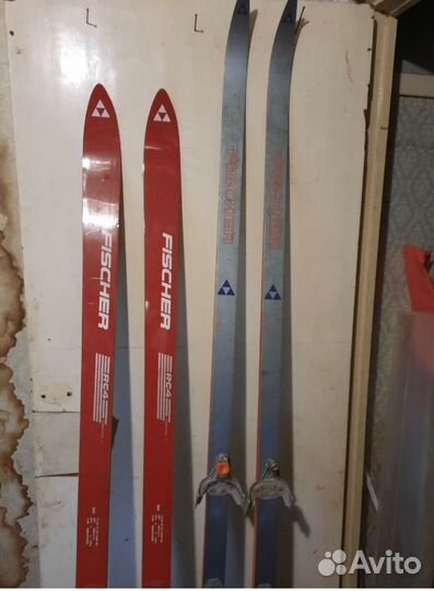 Беговые лыжи