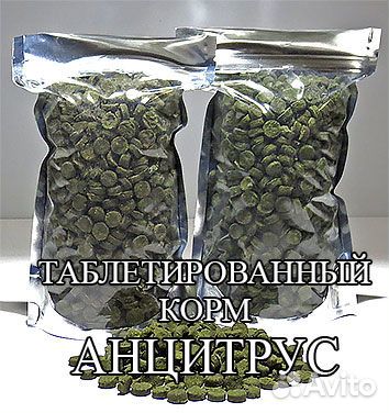 Корм рыбкам анцитрус