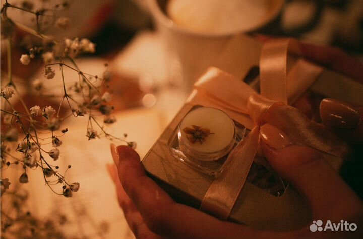 Видеооператор и Фотограф