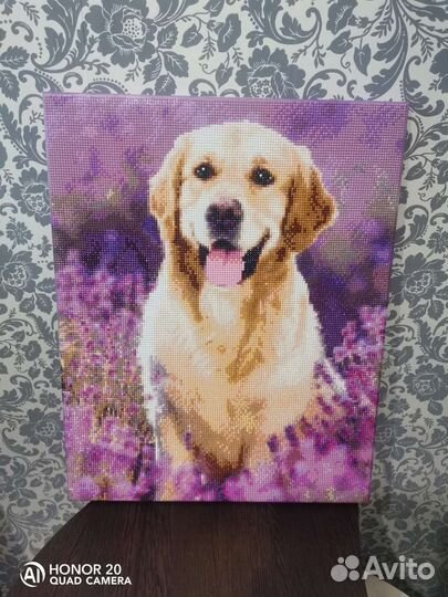 Картины по номерам 40 50